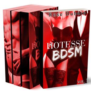 Cover of Hôtesse BDSM (L'Intégrale)