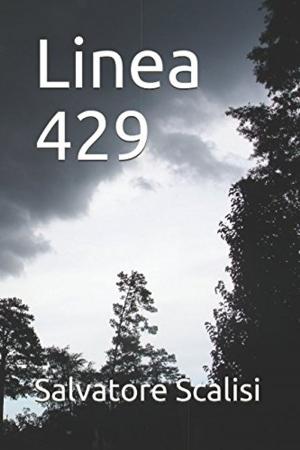 Cover of the book Linea 429 by Allison Crews