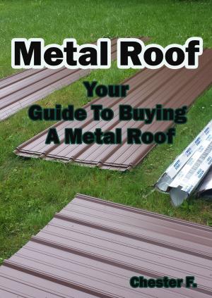 bigCover of the book Metal Roof by 