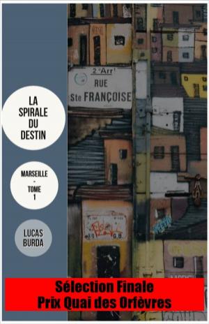 Cover of the book La Spirale du Destin by Ryin Kelsin