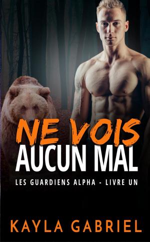 Book cover of Ne vois aucun mal