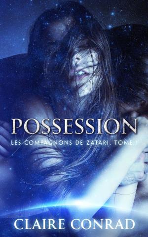 Cover of the book Possession by Luna Davers
