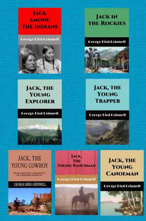 Book cover of Jack, the Young Man: The Action-Adventure Series