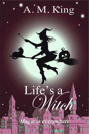 Book cover of Life's A Witch