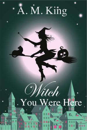 Book cover of Witch You Were Here