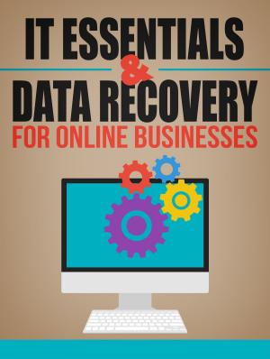 Cover of IT Essentials And Data Recovery For Online Businesses