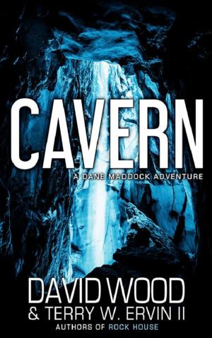 Cover of the book Cavern by David Wood, Alan Baxter