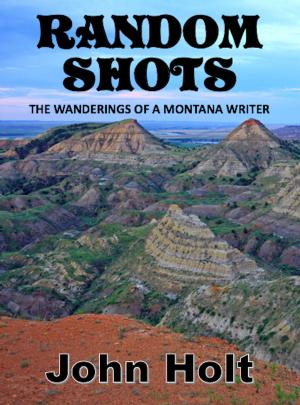 Cover of the book Random Shots by Brian Gordon Sinclair