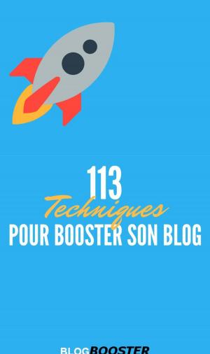 Cover of 113 Techniques pour Booster son Blog