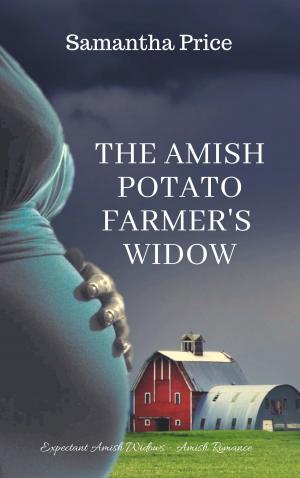 Book cover of The Amish Potato Farmer's Widow
