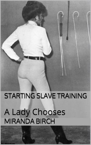 Cover of the book Starting Slave Training by Samantha Harrington