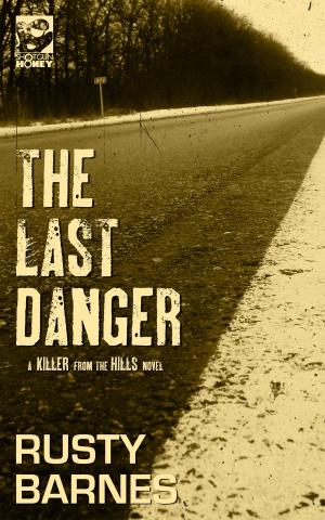 Cover of the book The Last Danger by Nick Kolakowski