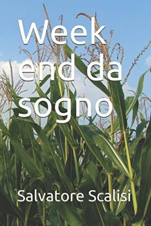 Cover of the book Week end da sogno by Gregory C. Langtry