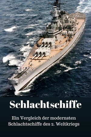 Cover of the book Schlachtschiffe by Jürgen Prommersberger