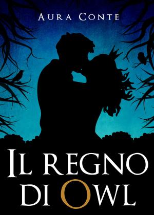 Cover of the book Il Regno di Owl by S.K. Gregory