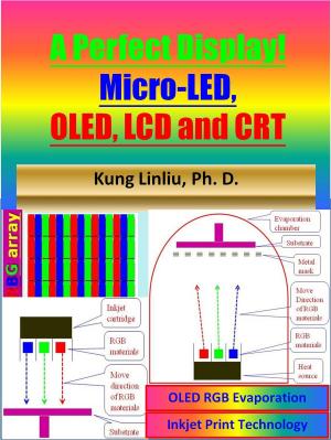 Cover of the book A Perfect Display! Micro-LED, OLED , LCD and CRT by Alexandru Stefan Nicolita-Cristian