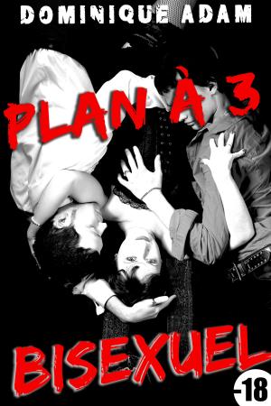 Book cover of Plan A trois Bisexuel