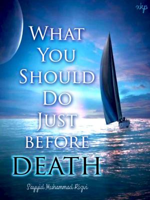 Cover of the book What You Should Do Before Death by Robin Simson