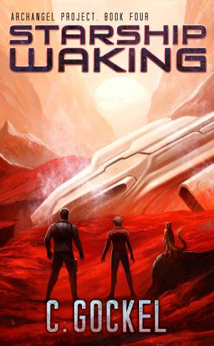 Cover of the book Starship Waking by David Kingsley Evans