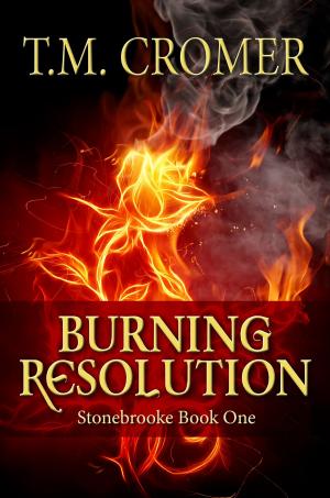 Book cover of Burning Resolution