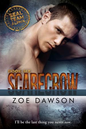Cover of the book Scarecrow by Julie Huleux