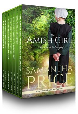 Cover of the book Amish Misfits Boxed Set by Kerry Taylor