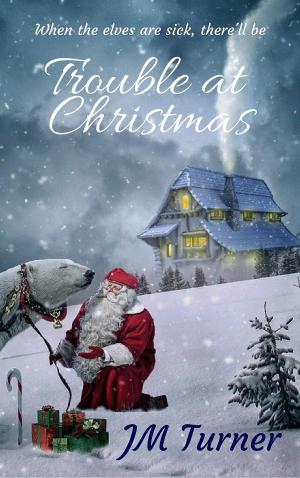 Book cover of Trouble at Christmas