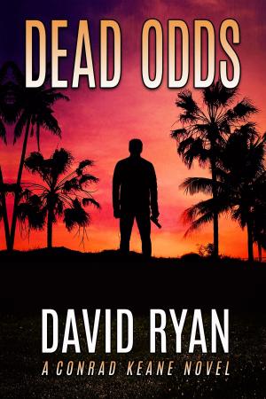 Cover of the book Dead Odds by K.B. Spangler