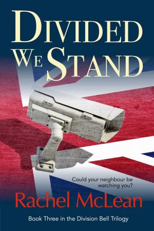Cover of the book Divided We Stand by Louise Corum
