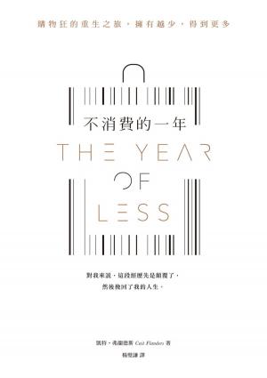 Cover of the book 不消費的一年：購物狂的重生之旅，擁有越少，得到更多 by 成甲