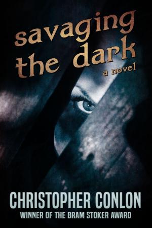 Cover of the book Savaging the Dark by Alma Alexander