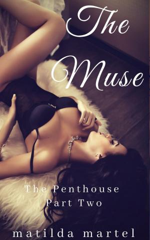 bigCover of the book The Muse by 