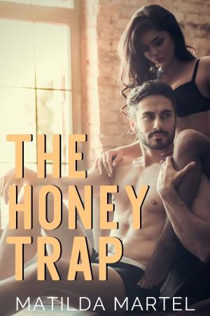 Book cover of The Honey Trap