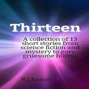 Cover of the book Thirteen by J. R. Albert