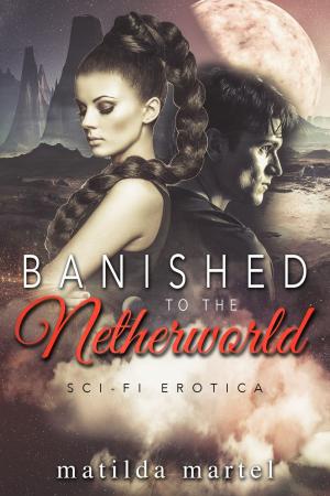 Cover of the book Banished to the Netherworld by Matilda Martel