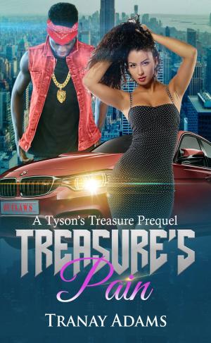 Cover of the book Treasure's Pain by Susan M B Preston