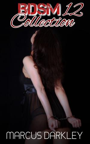Book cover of BDSM Collection 12