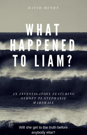 Cover of the book What Happened to Liam? by Margaret A. Westlie