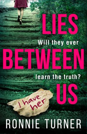 Cover of the book Lies Between Us by Sunshine Somerville