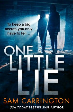 Cover of the book One Little Lie by Sarah Lean