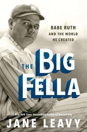 Cover of the book The Big Fella by Phillip Margolin