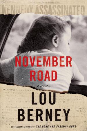 Book cover of November Road