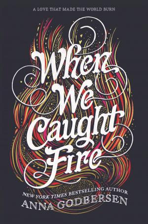 Cover of the book When We Caught Fire by Walter Dean Myers