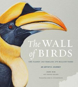 Cover of the book The Wall of Birds by Carli Davidson