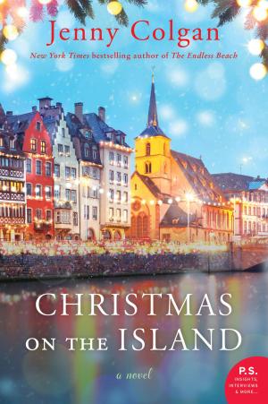 Cover of the book Christmas on the Island by Peter Robinson