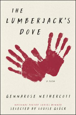 Cover of the book The Lumberjack's Dove by Arthur Lubow
