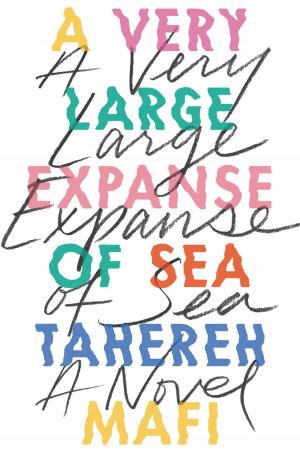 Cover of the book A Very Large Expanse of Sea by Lemony Snicket