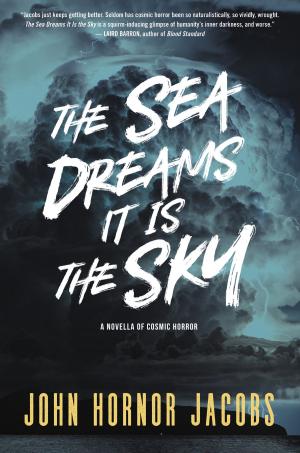 Cover of the book The Sea Dreams It Is the Sky by Teresa Edgerton