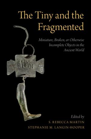 Cover of the book The Tiny and the Fragmented by John Stratton Hawley