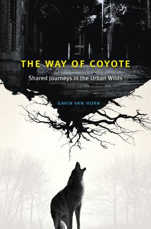Book cover of The Way of Coyote
